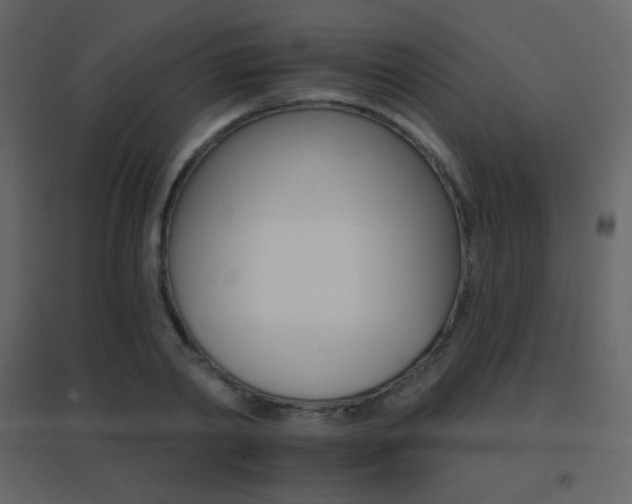 X0000096690790200802051345