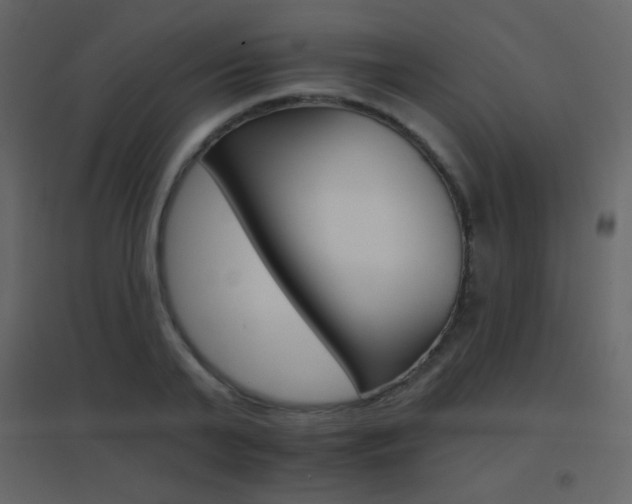 X0000096690791200802051345