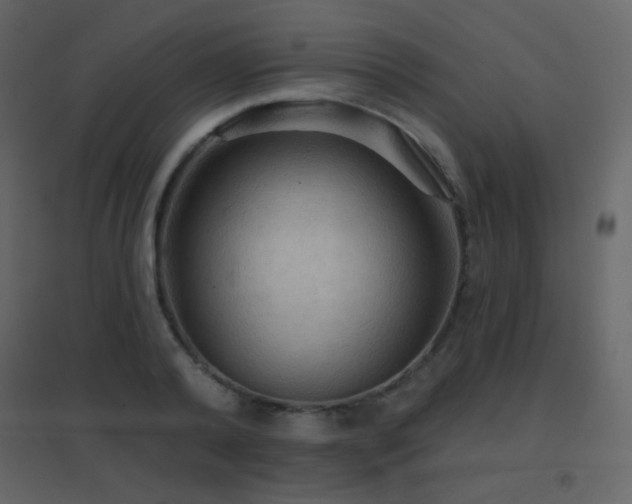 X0000096690792200802051345