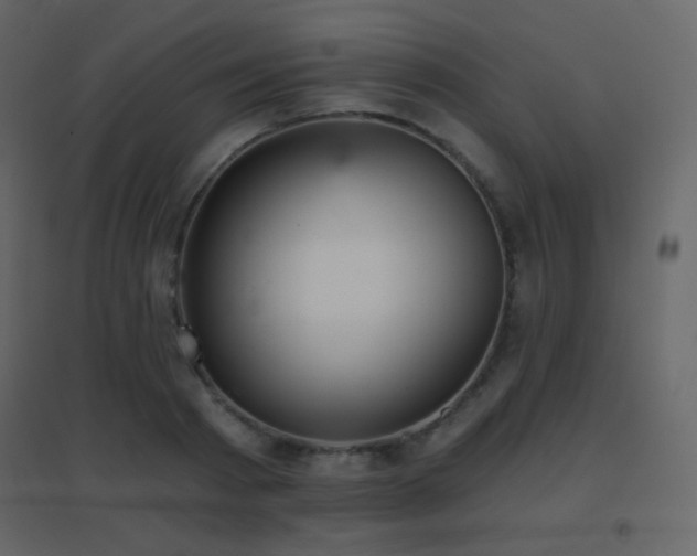 X0000096690793200802051345