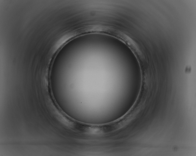 X0000096690794200802051345