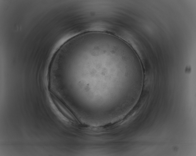 X0000096690795200802051345