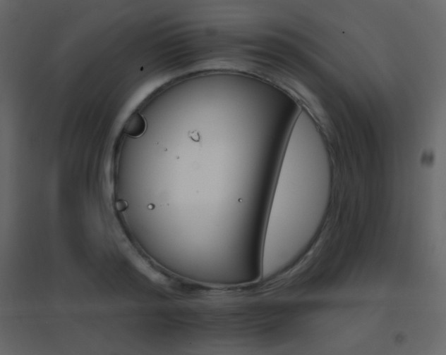 X0000096690796200802051345