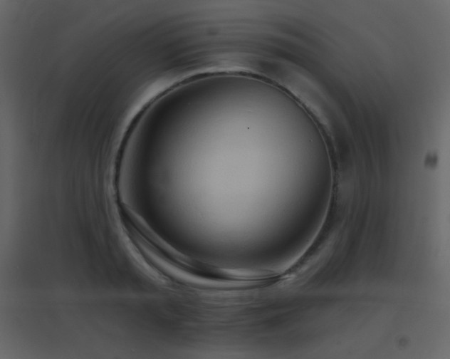 X0000096690797200802051345