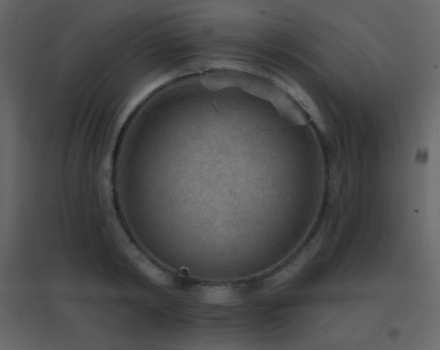 X0000096690798200802051345