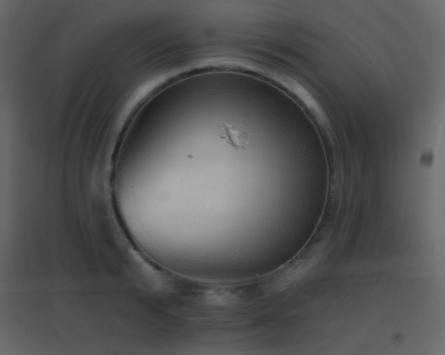 X0000096690799200802051345