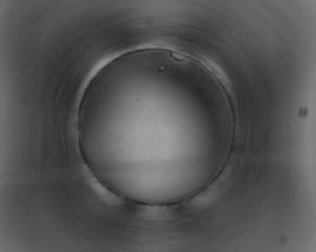 X0000096690800200802051345