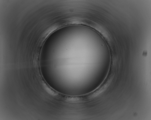 X0000096690801200802051345