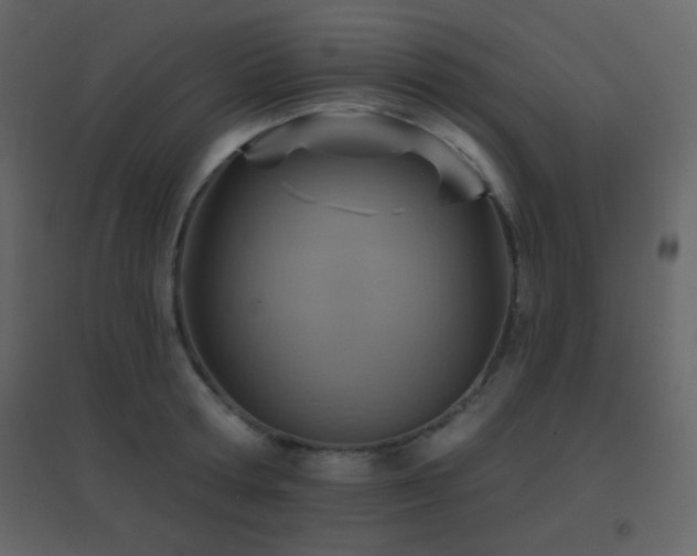 X0000096690802200802051345