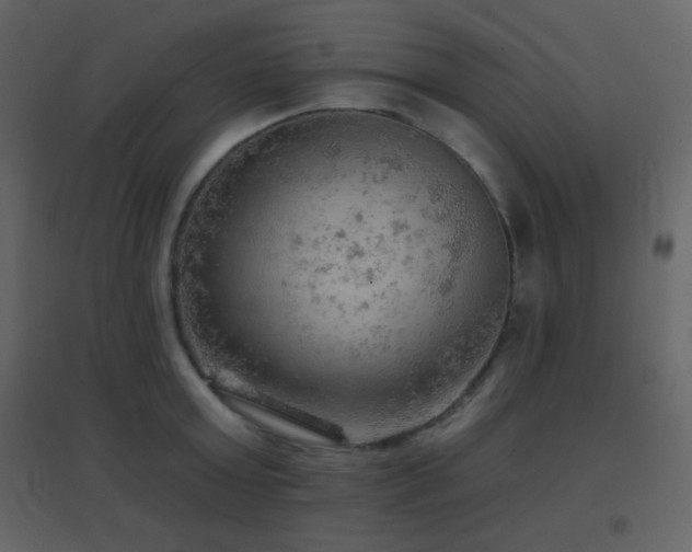 X0000096690803200802051345