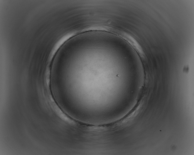 X0000096690804200802051345