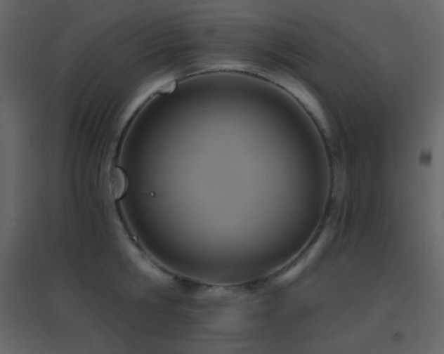 X0000096690806200802051345