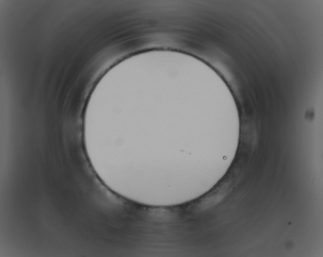 X0000096690807200802051345