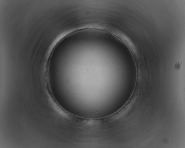 X0000096690808200802051345