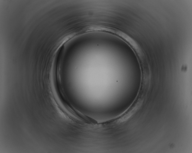 X0000096690809200802051345