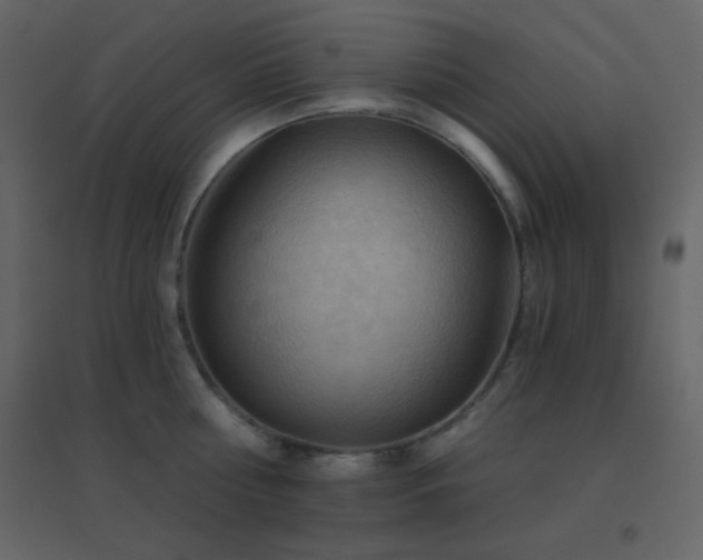 X0000096690810200802051345