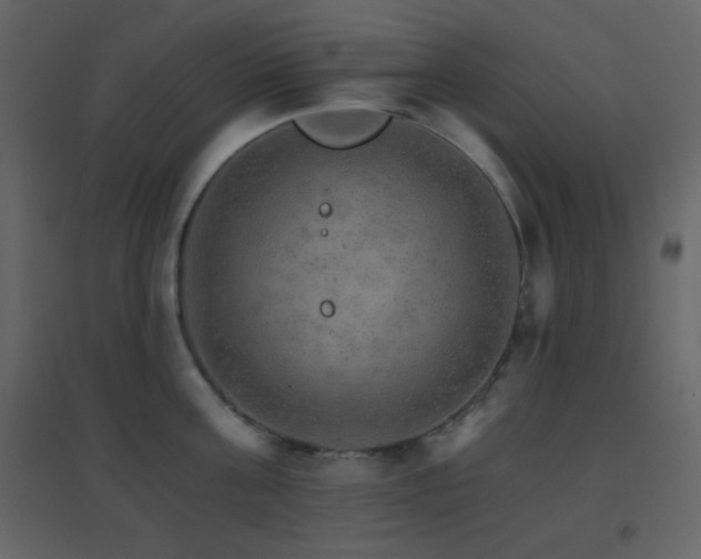 X0000096690811200802051345