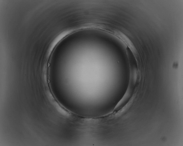 X0000096690812200802051345