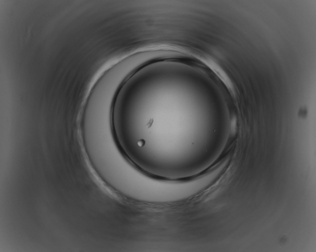 X0000096690813200802051345