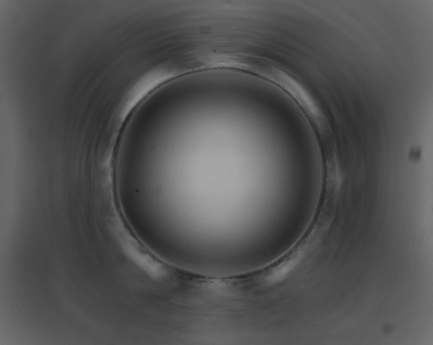 X0000096690814200802051345