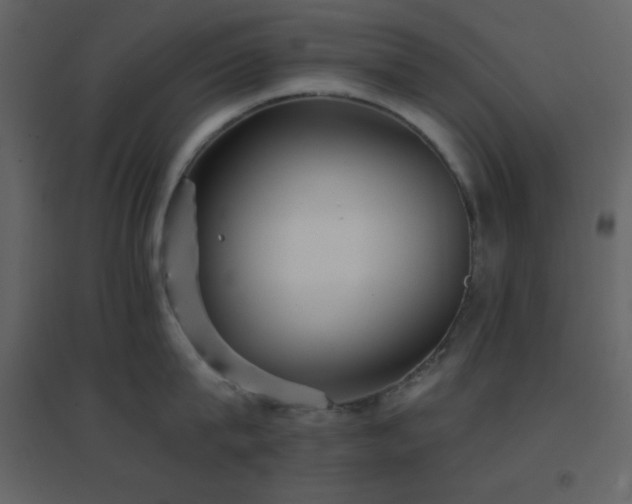 X0000096690815200802051345