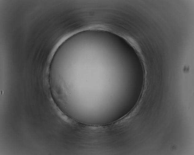 X0000096690816200802051345