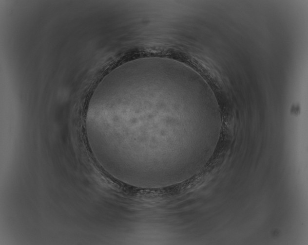 X0000096690817200802051344