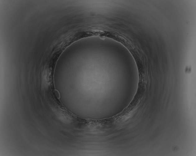 X0000096690818200802051344