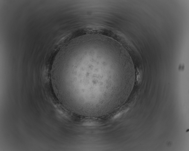 X0000096690819200802051344