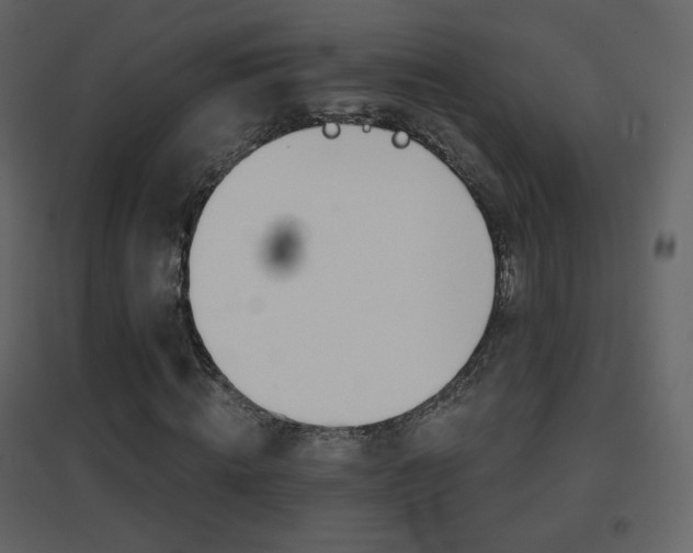 X0000096690820200802051344