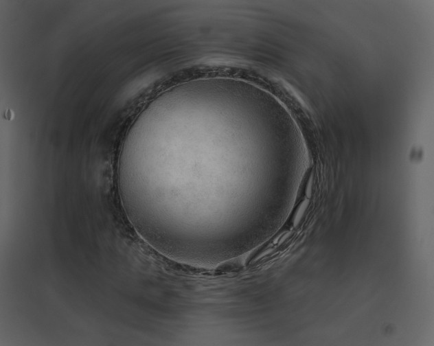 X0000096690821200802051344