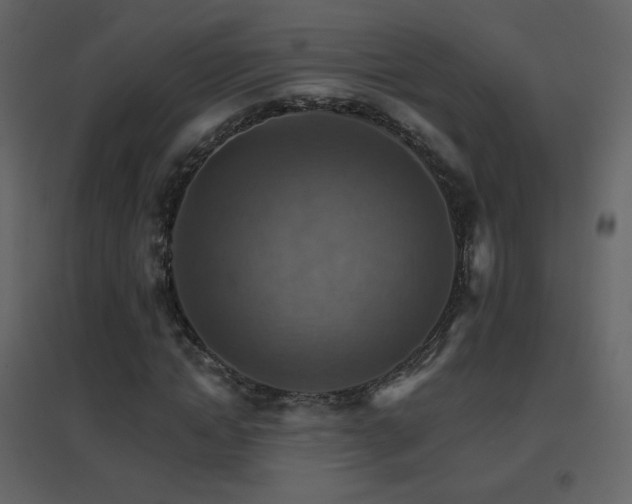 X0000096690822200802051344