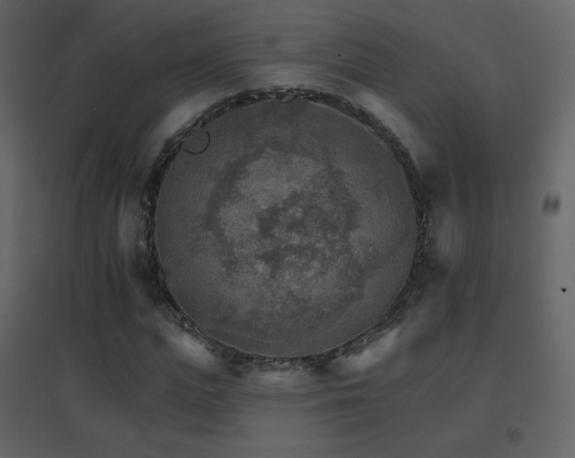 X0000096690823200802051344