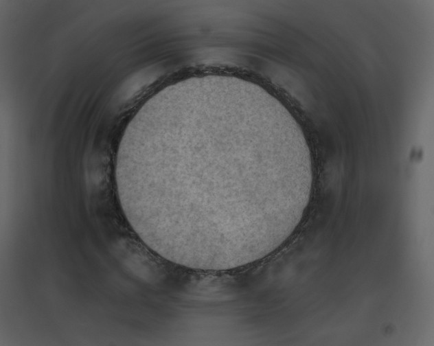 X0000096690824200802051344