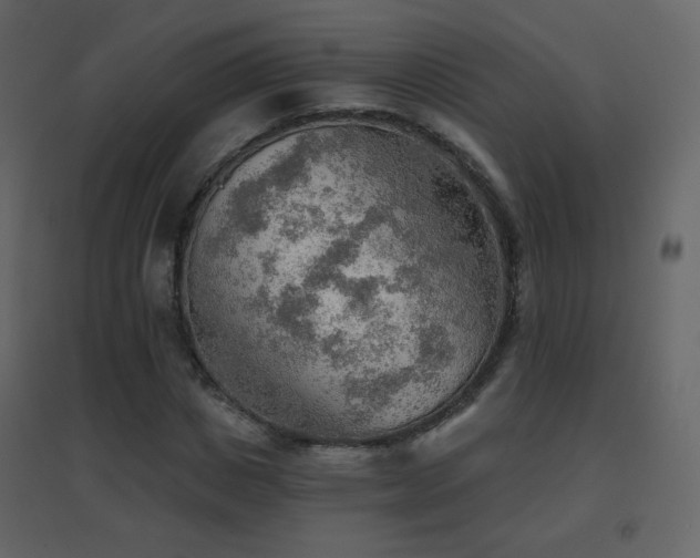 X0000096690825200802051344