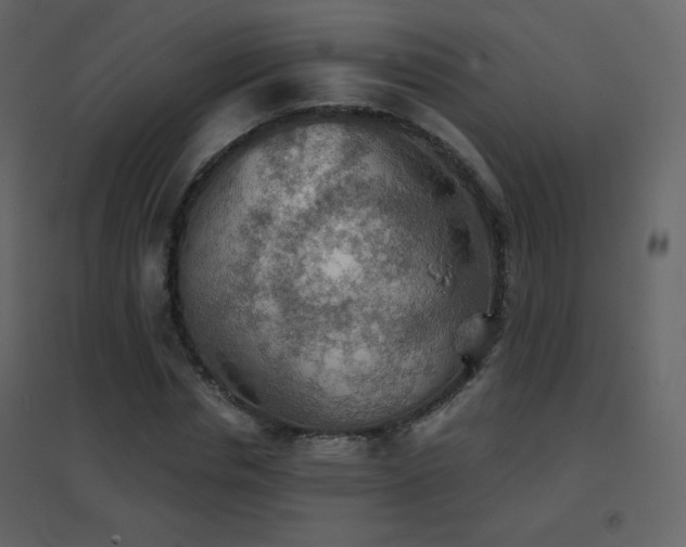 X0000096690826200802051344