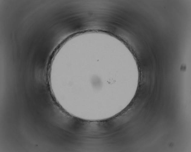 X0000096690828200802051344