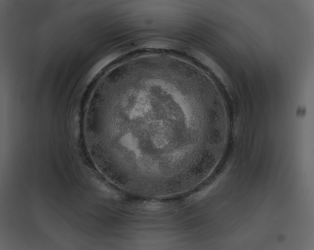 X0000096690829200802051344