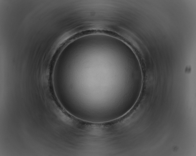 X0000096690831200802051344