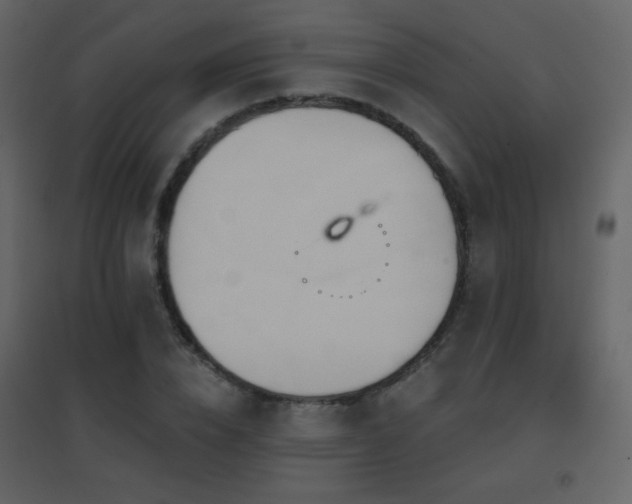 X0000096690832200802051344