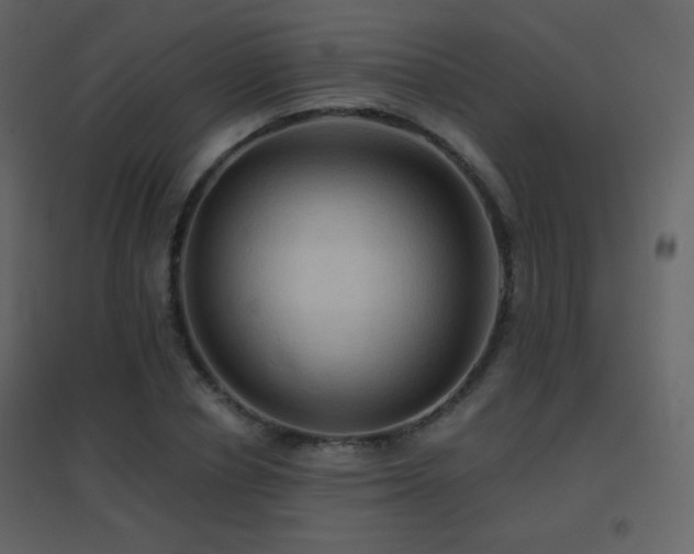 X0000096690834200802051344