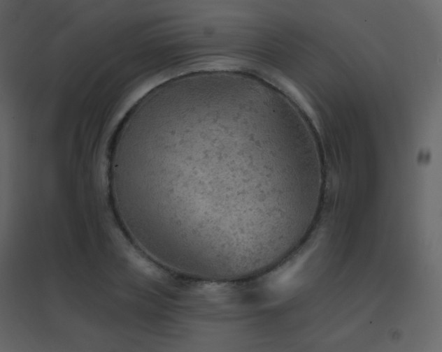 X0000096690835200802051344