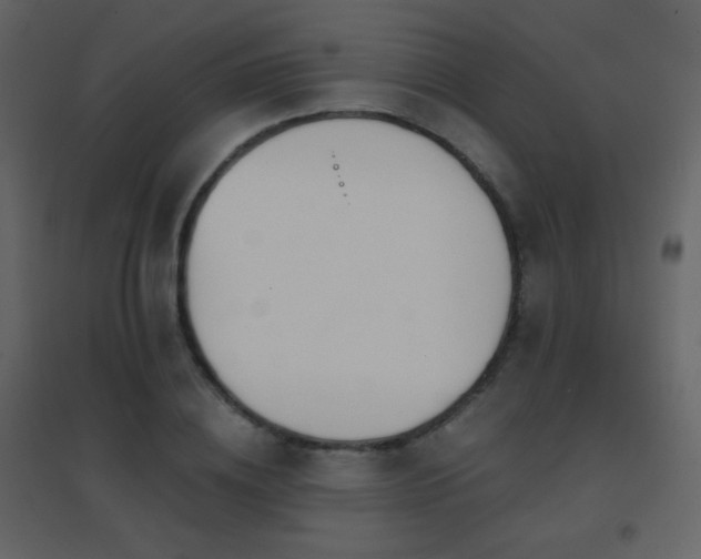 X0000096690836200802051344