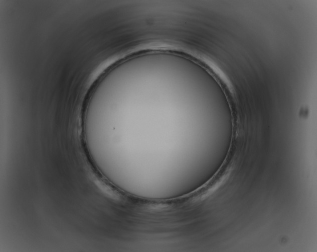 X0000096690837200802051344