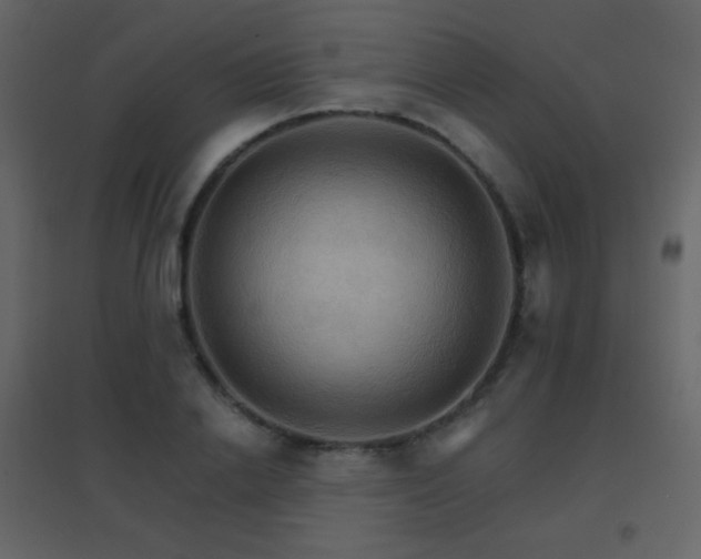 X0000096690838200802051344