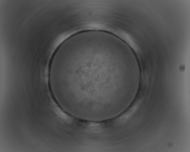 X0000096690839200802051344