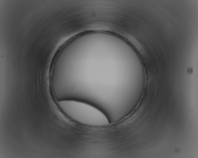 X0000096690840200802051344