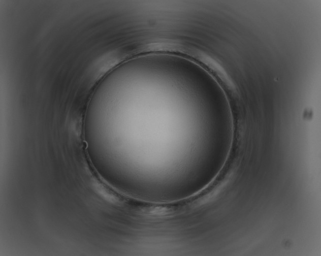 X0000096690841200802051344