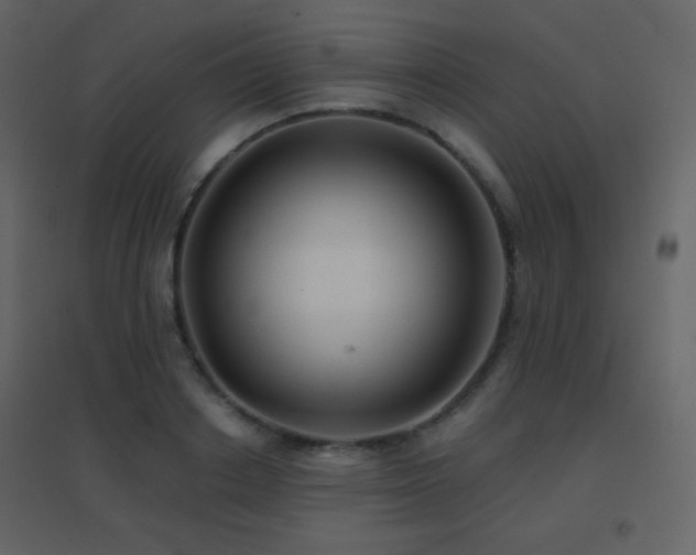 X0000096690842200802051344