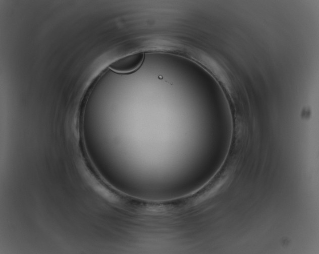 X0000096690843200802051344